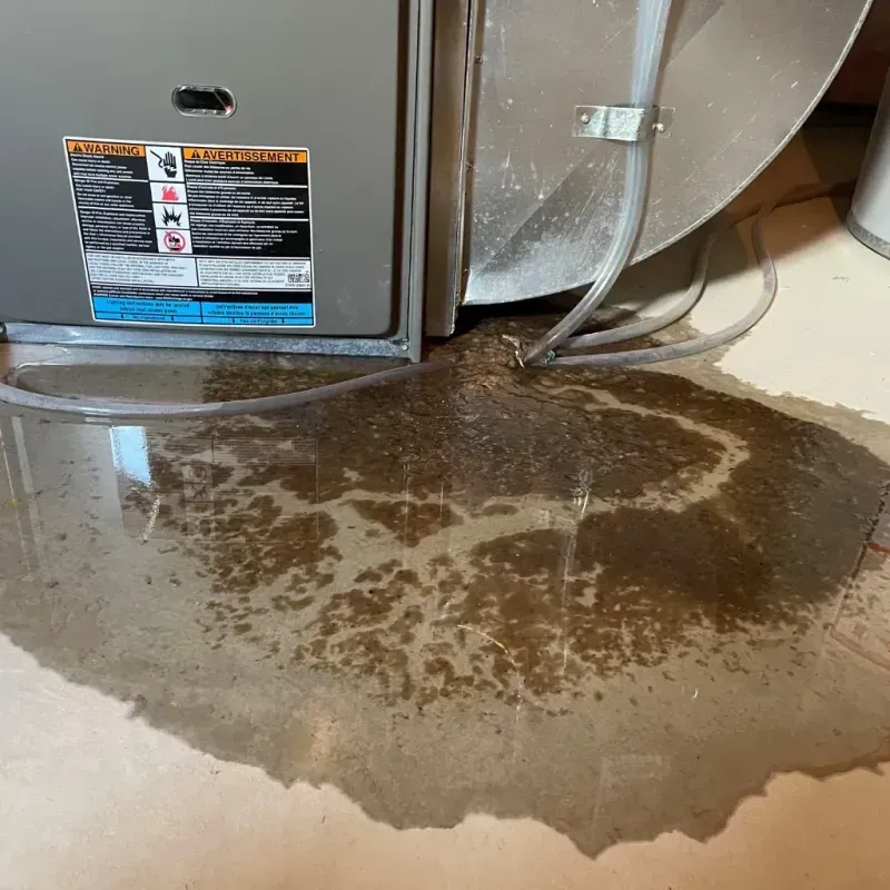 Appliance Leak Cleanup in Julesburg, CO